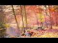 南沙織  ~  哀愁のページ   ~   色づく街   ~