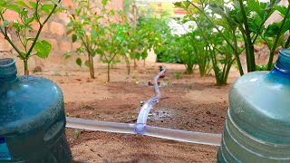 How to make Drip Irrigation with simple plastic bottles, quick and easy to do