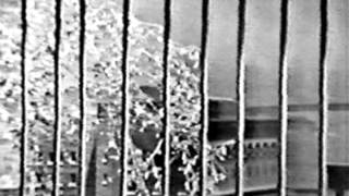 Jack Benny 17 Ernie Kovacs