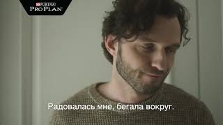 Корма Pro Plan (Про План) для собак Корма Pro Plan (Про План) для собак