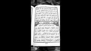 SURAH SHURA