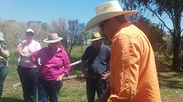 Joining hinge joint fence