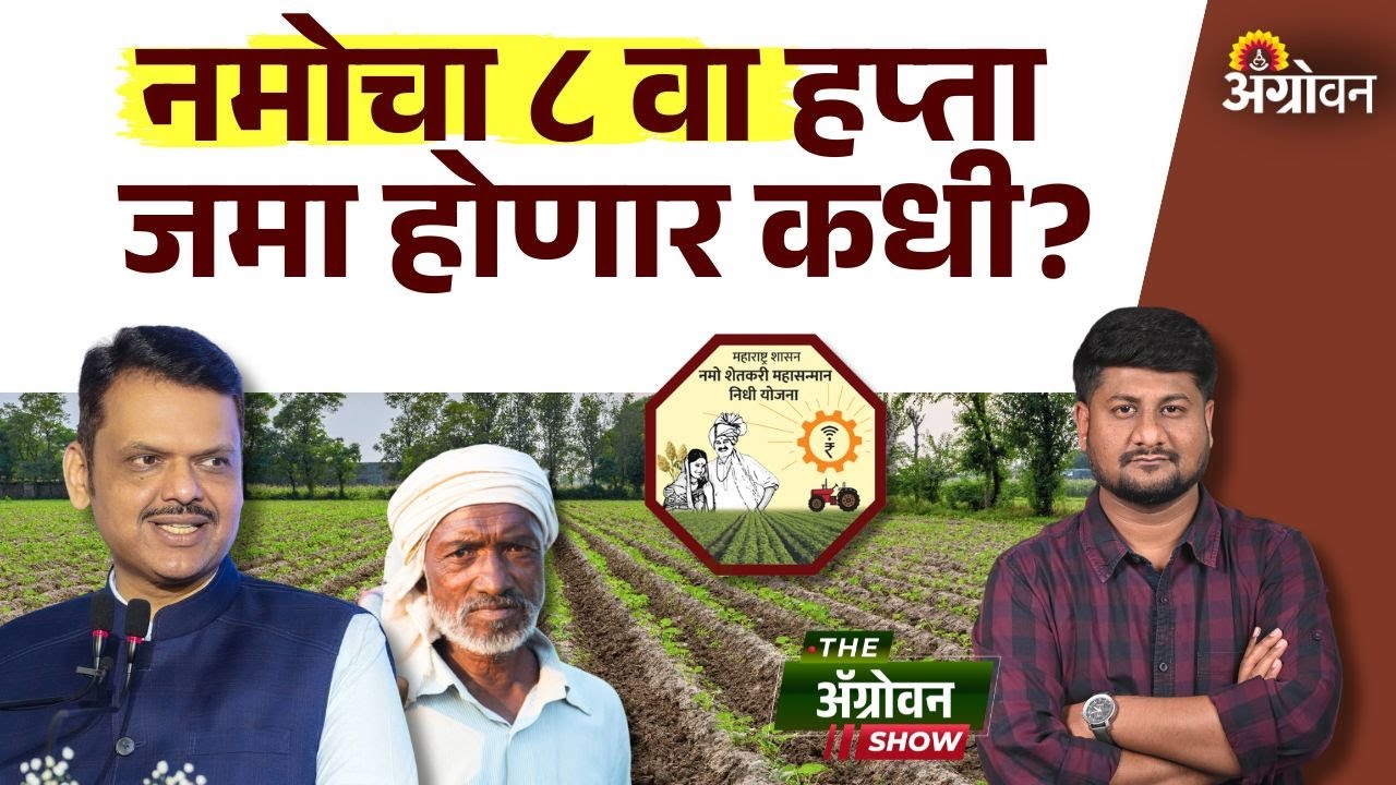 Namo 8th Installment : नमो शेतकरी महासन्मान निधी योजनेचा ह्प्ता का मिळत नाही? | Agrowon