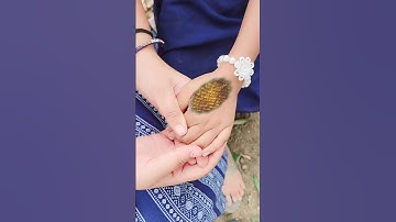 इच्छाधारी नागिन मां और बेटी कहानी🐍🙏#shorts #youtubeshorts #snake #naagin #nagin #mahadev #shiv #maa