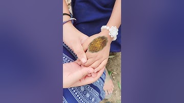 इच्छाधारी नागिन मां और बेटी कहानी🐍🙏#shorts #youtubeshorts #snake #naagin #nagin #mahadev #shiv #maa