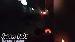 Story' wa Iwan fals - Bunga trotoar