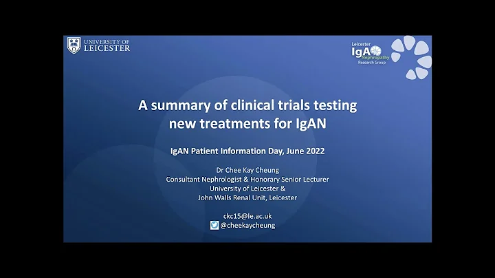 Summary of Clinical Trials Testing Novel Treatments for IgAN