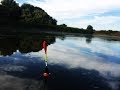 УВИДЕЛА СТАЮ КАБАНОВ НА РЫБАЛКЕ ОДНА! ПОДСОЛНЕЧНОЕ МАСЛО СПАСЛО ЭТУ РЫБАЛКУ