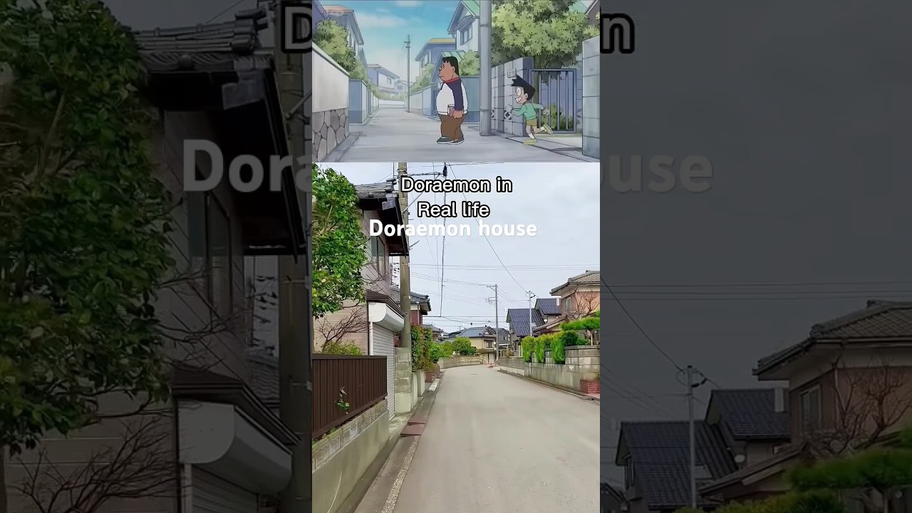 Doreamon house and subscribe and save 