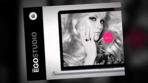 Ego Onepage Parallax Responsive WordPress Theme + Download