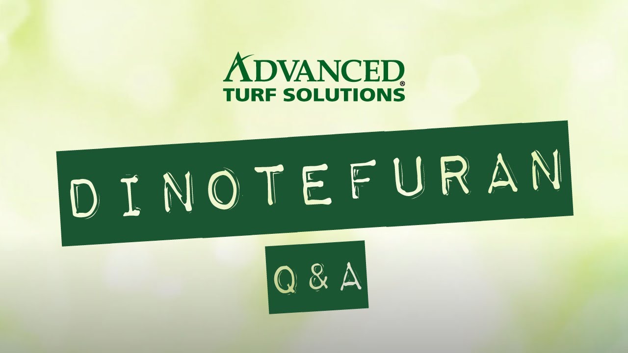 Why Dinotefuran Could Be The Right Insecticide For You