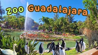 Guía completa - Así es el  ZOOLÓGICO de Guadalajara. screenshot 5