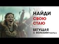 Найти свою стаю: Бегущая с волками (Часть 6)