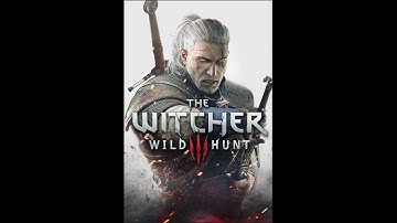 RTX 2080 TI WITCHER 3 | 1440p | 1080p | Max Settings | FPS Benchmark Test