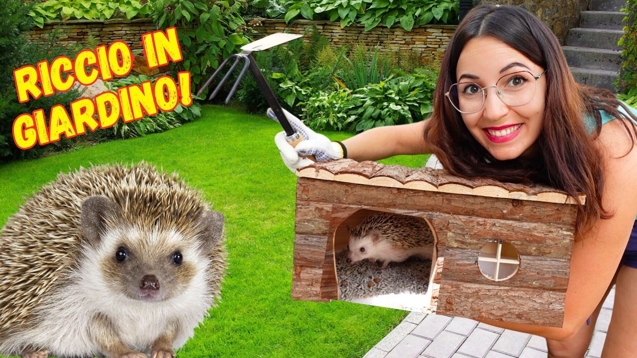 LIBERO IL MIO RICCIO IN GIARDINO! *nuova casa per Spooky!*