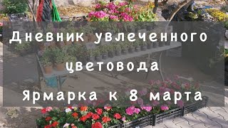 Ярмарка цветов к 8 марта. Комнатные растения, тюльпаны, букеты. г. Гулькевичи