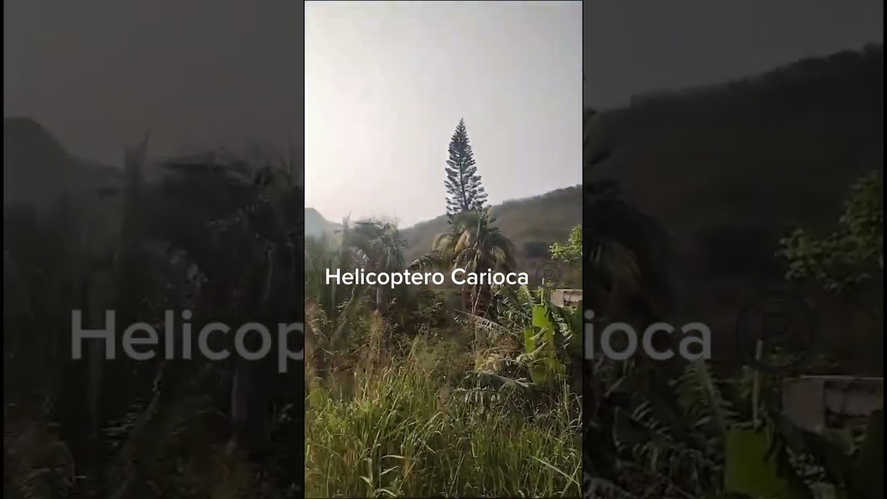 Operação no Morro do Borel na Tijuca (Video 3)