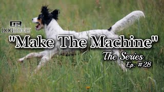Setter Bird Dog Training Series: 'Make the Machine' | Ep: #28