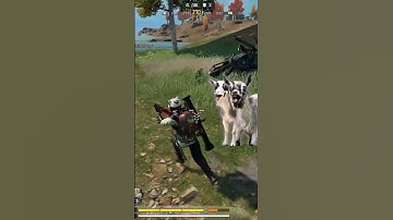 A duo got cooked silently 😸😂 #codm #codmobile #callofdutymobile 