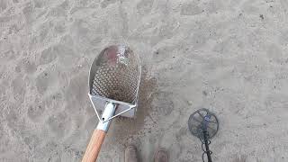 Simplex+ v02.78 Trashy beach at low gain. What targets I skip with low gain!!