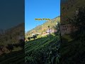 Beauty of Ooty | அழகிய ஊட்டி | Tamilnadu tourist places#naturelovers#nature#tourism#ooty