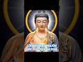 Lời Phật dạy: Nguồn gốc của sự đau khổ #loiphatday