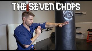 Eagle Claw Kung Fu Basic Heavy Bag Techniques, The 7 Chop Combination