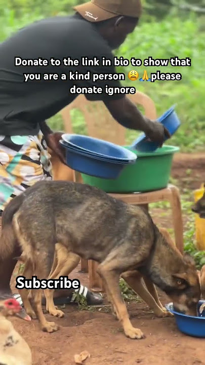 Message me via WhatsApp number  256708794485 or link in bio to donate