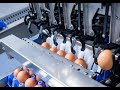 Упаковщик на фабрику яиц в Швецию