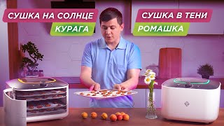 Виды сушки | Lequip IR D5 | Домашняя курага и сушёная ромашка