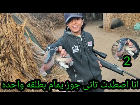 رحلة صيد يمام وحمام برى وكلاكيت تانى مره محمد اصطاد جوز يمام بطلقه واحده احمد صبرى القناص