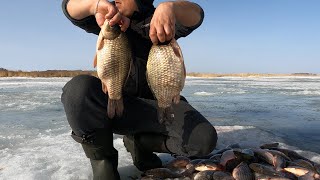 Эта МОРДА показалась из лунки, и мы чуть с ума не сошли...Просто ПАЛЬЦЕМ забагрили!