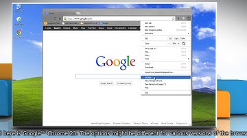 Google™ Chrome: How to remove the current theme in Windows® XP