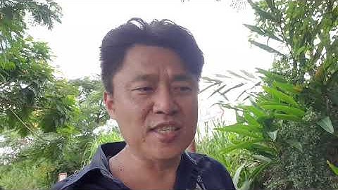 群益api的修煉13,交易程式現況，和新功能規劃