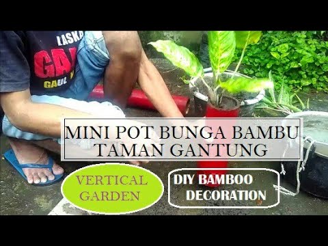 Basic membuat Pot  Bunga Gantung dari  Bambu  Decorasi Mini 