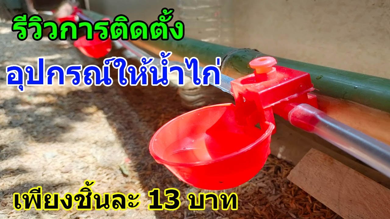 ถ้วยให้น้ำไก่อัตโนมัติ ตัวละ 13 บาท น่าซื้อไปลองใช้ดู ทำง่ายมาก ประหยัดเวลา /จ่าพัน Channel/