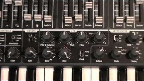 Arturia MiniBrute Tour