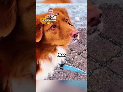 Девушка помогла Бабушке 🥹❤️ #shorts #фильмы