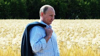 Российский аграрный скачок! Россия становится главным игроком в мировой торговле зерном