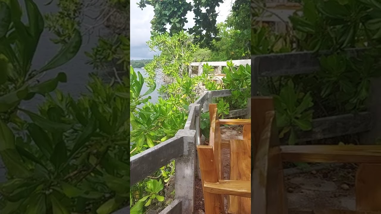 C Resort❤️❤️❤️