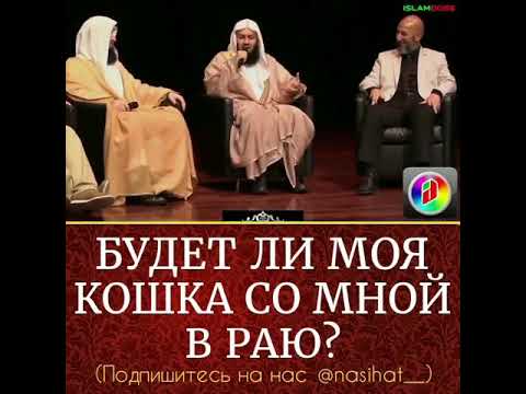 БУДЕТ ЛИ МОЯ КОШКА СО МНОЙ В РАЮ?