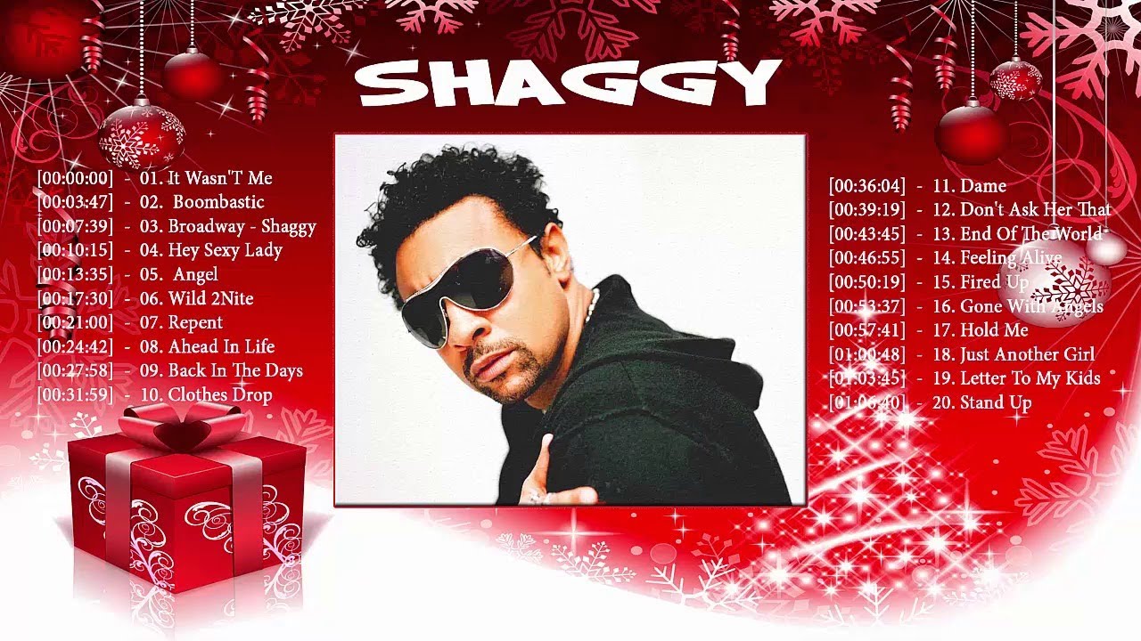 Shaggy Best Songs   Shaggy Top 20 Best Reggea Songs  Best Full Song of Shaggy 2017 