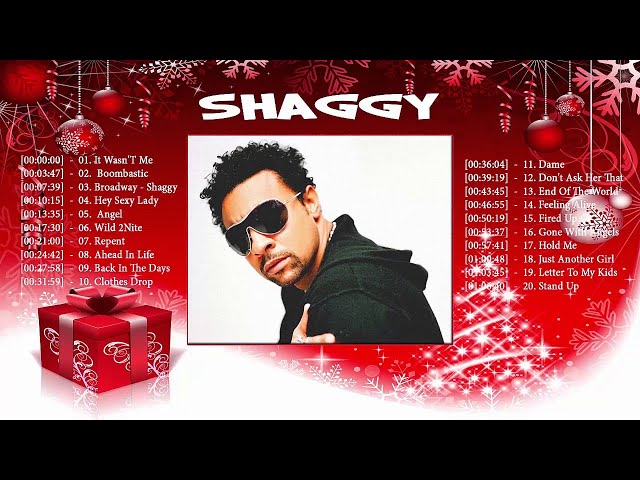 Shaggy Best Songs - Shaggy Top 20 Best Reggea Songs / Best Full Song of Shaggy 2017 / class=