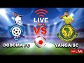 Yanga Vs Dodomajiji Live 