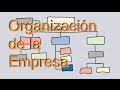 Diseño de la organización de la empresa
