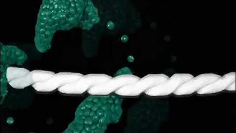 Target-search During DNA Mismatch Repair