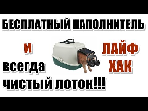 Бесплатный наполнитель и всегда чистый кошачий лоток ЛАЙФХАК!