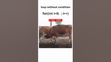Loop without condition || Coding memes || Programmer life #coding #memes #hacking #programmerlife