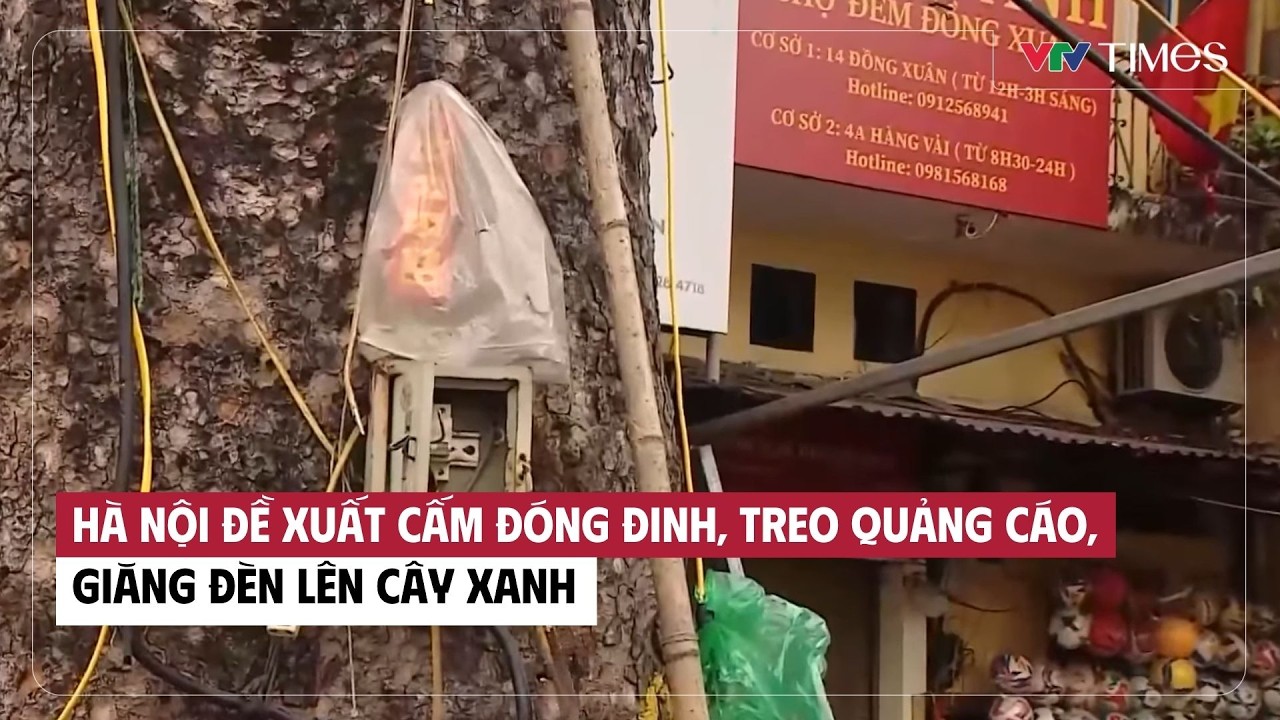 Hà Nội đề xuất cấm đóng đinh, treo quảng cáo, giăng đèn lên cây xanh | Cụm tin | VTV Times