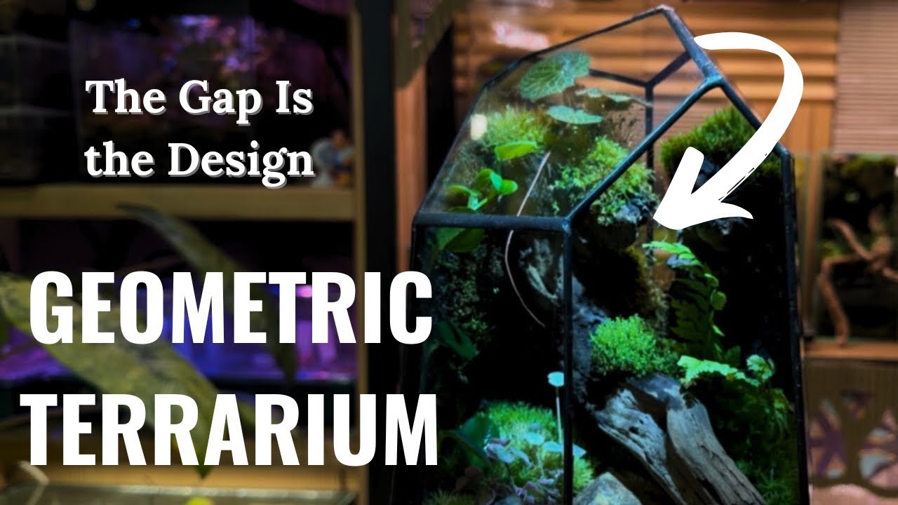 Tremor Creating Ravine Creating a Ravine Landscape in a Geometric Terrarium - YouTube